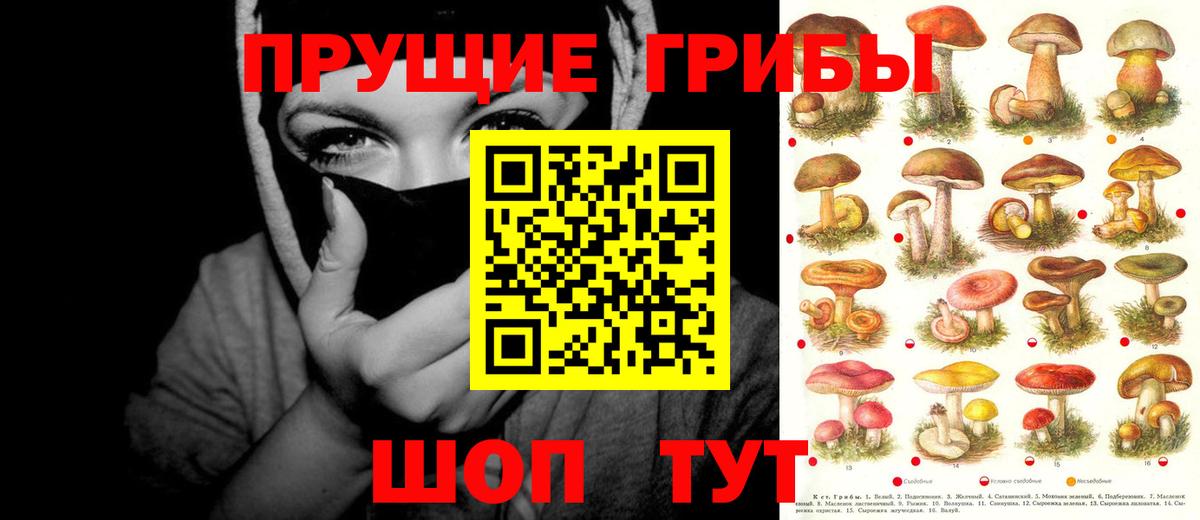 Железноводск  Галлюциногенные грибы Magic Shrooms  Вход с VPN 